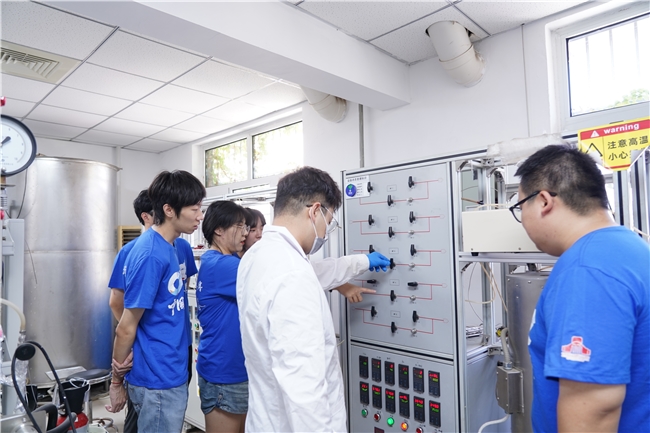 昔日盐碱曾荒凉,今朝涅槃黄金塘 ——探寻山东省盐碱地生态变奏历程