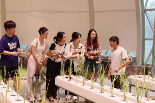 华中农业大学暑期社会实践:走进嘉鱼谷神科技园 探索先进育种技术