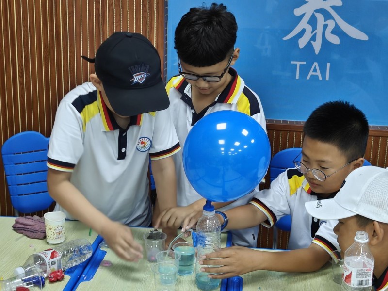 东北林业大学学子三下乡:青春逐梦泰来行，公益课堂显真情，共写乡村振兴篇