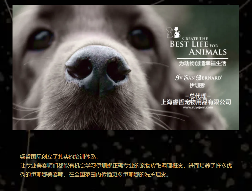 划重点!伊珊娜大师课再启程,错过等一年!