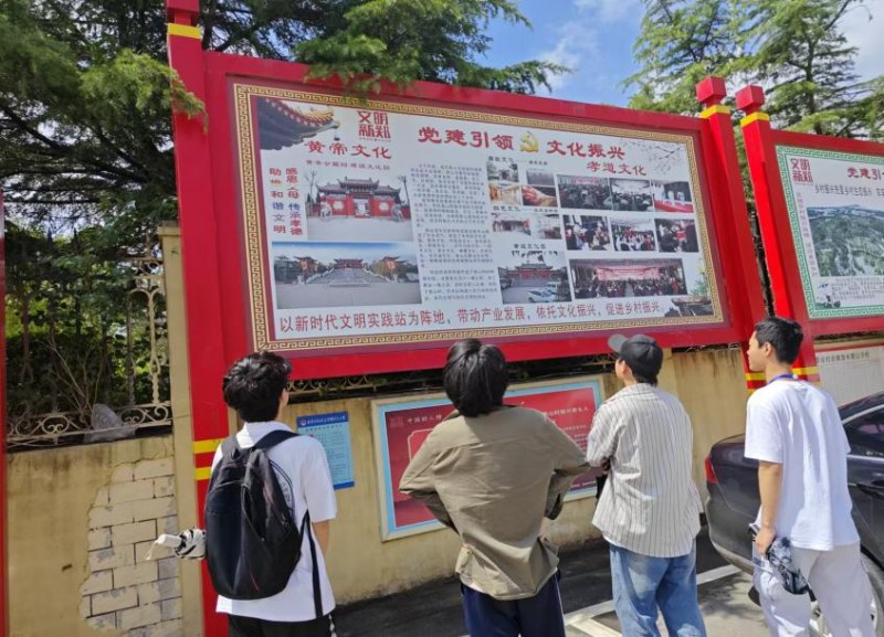 泰山村的创新光芒与乡村振兴