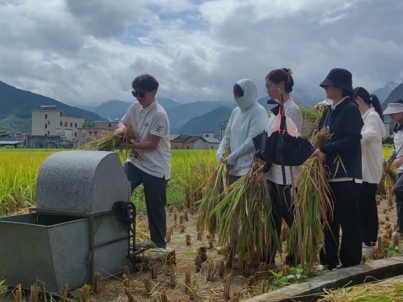 百千万行动：义诊送健康，田间共割稻，温情满人间  山水菌缘社会实践队开展百千万工程实践活动