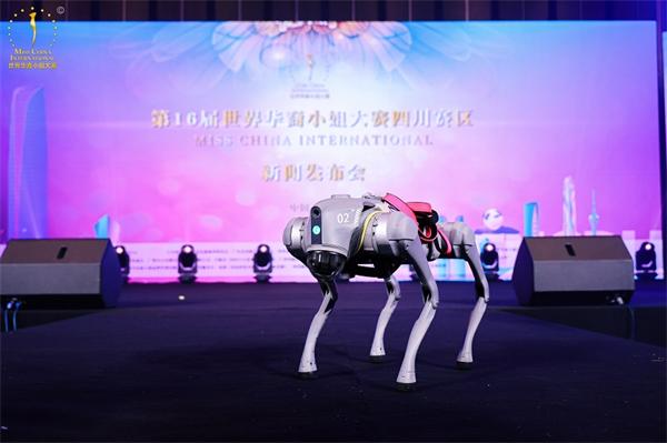第16届世界华裔小姐大赛四川赛区正式启动