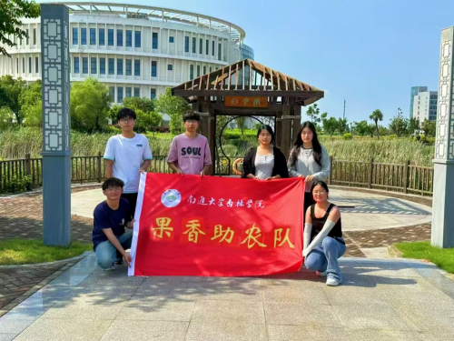 “果香满园助振兴，助农耕耘谱新章“探索黄皮果产业与乡村振兴的关联性