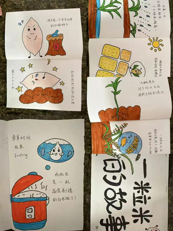 与“语”同行 不负“暑”光——邯郸市复兴区祥云小学语文五同作业展（三）