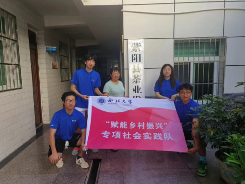 “赋能乡村振兴”专项计划 | 紫阳茶香飘万里 乡村振兴展宏图
