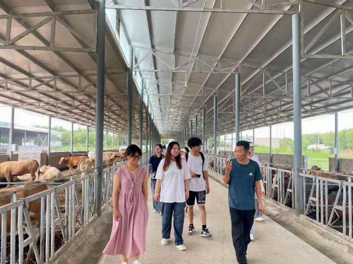 青春力量下乡行 共绘乡村新蓝图——西北农林科技大学沿黄涉农高校学子观“大河之治”陕西分队