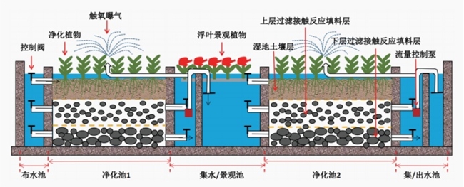 农村污水处理现状与工艺治理分析