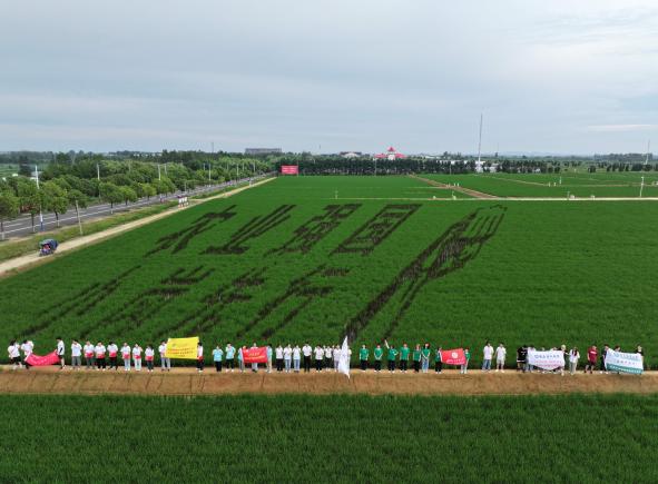 青春为中国式现代化挺膺担当 ——黄山学院经济管理学院青年赴中国农村改革第一村小岗村学习调研