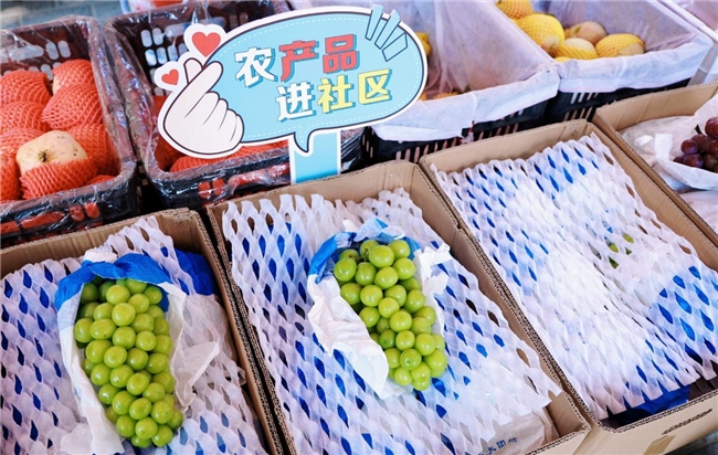 时令里的长安·网络达人乡村行农产品进社区活动圆满收官