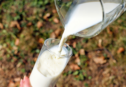 舌尖上的美味，羊乳品牌的安心之选