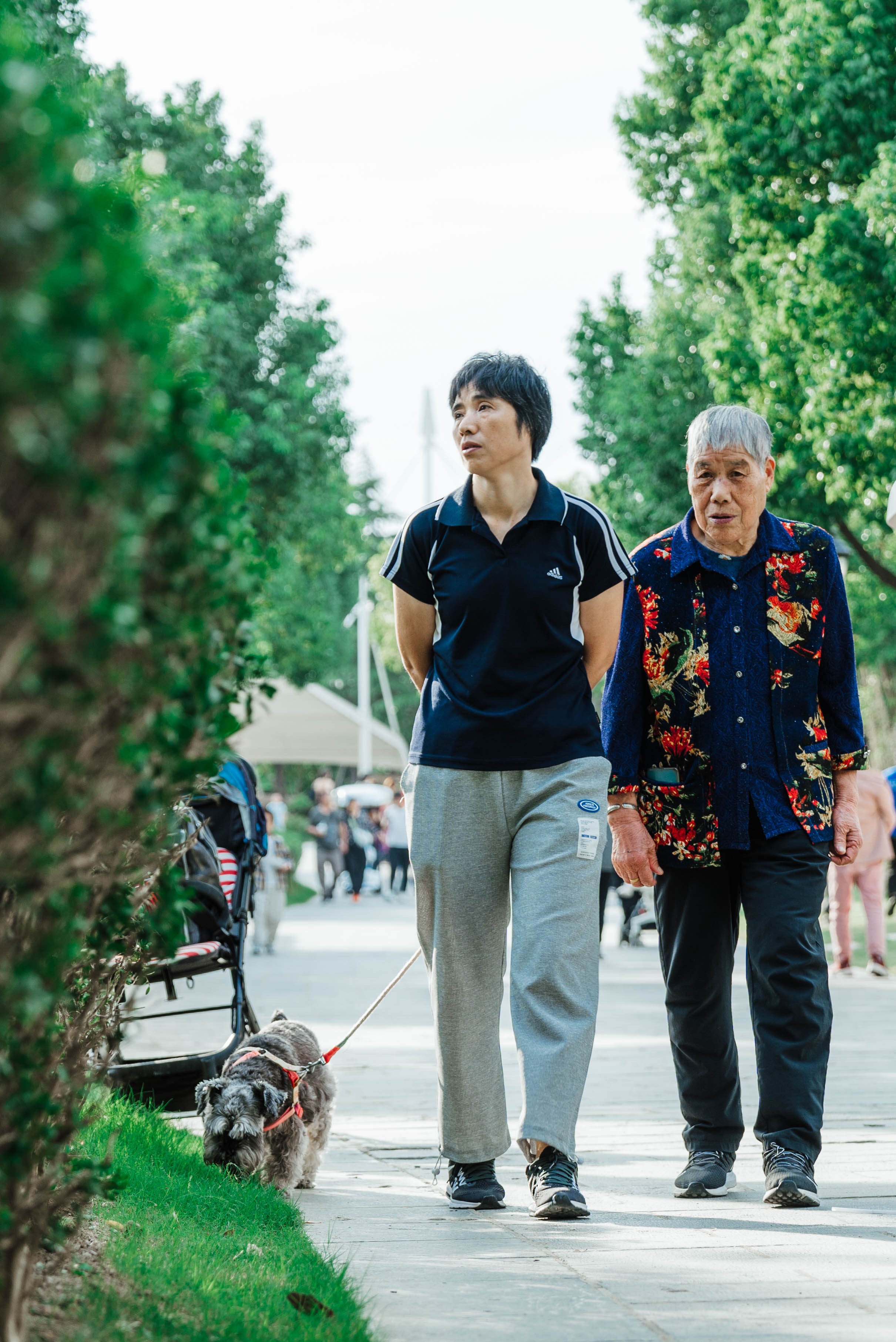 徽园重新开放，打造宠物友好生态新体验