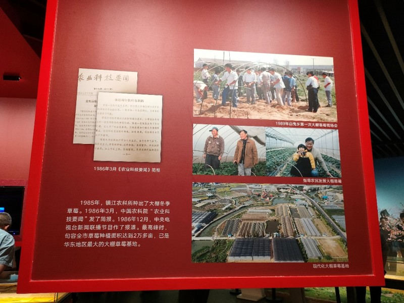赵亚夫红色精神与绿色希望引领句容研学