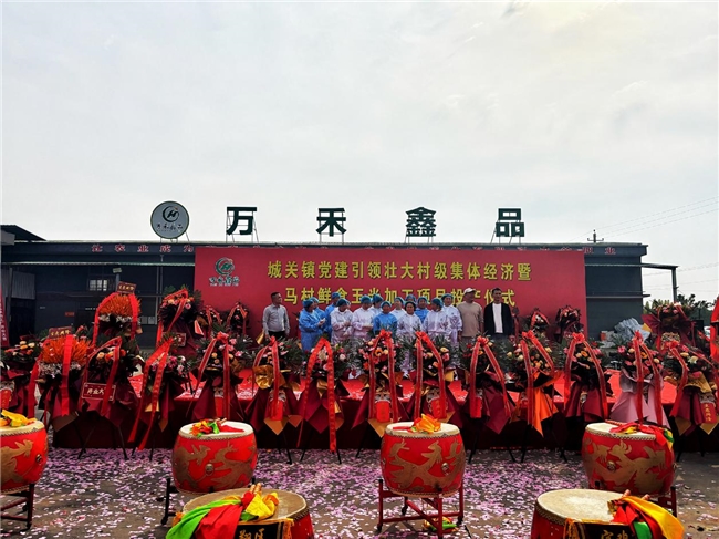 布局鲜食玉米全产业链 共赴乡村振兴致富路——陕西万禾鑫品鲜食玉米加工项目正式投产