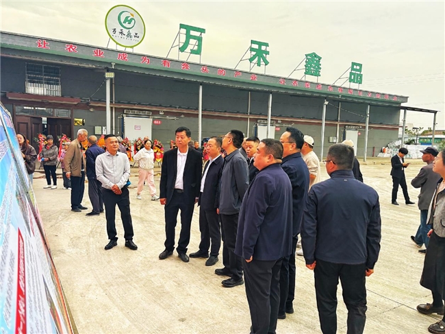 布局鲜食玉米全产业链 共赴乡村振兴致富路——陕西万禾鑫品鲜食玉米加工项目正式投产