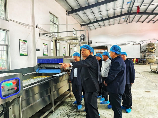 布局鲜食玉米全产业链 共赴乡村振兴致富路——陕西万禾鑫品鲜食玉米加工项目正式投产