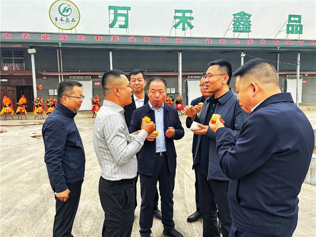 布局鲜食玉米全产业链 共赴乡村振兴致富路——陕西万禾鑫品鲜食玉米加工项目正式投产