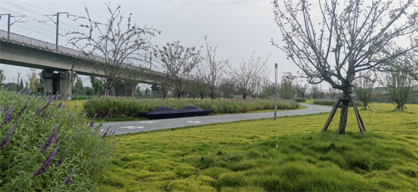 双流区“美丽街角”：以“绣花”功夫打造宜居城市新面貌