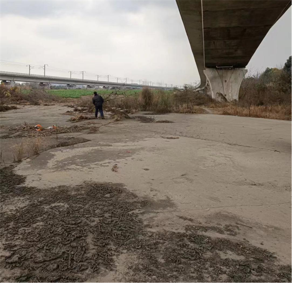 双流区“美丽街角”：以“绣花”功夫打造宜居城市新面貌