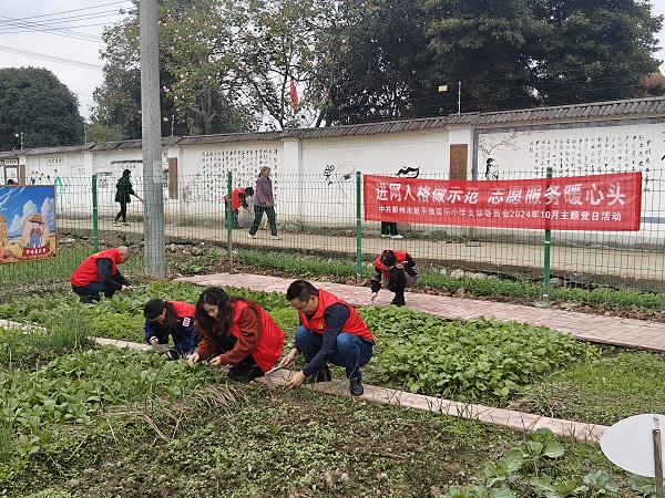 进网入格做示范 志愿服务暖心头