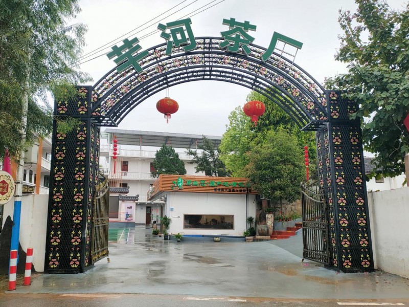 从茶园到药食同源，广西芊河源生物引领健康新风尚