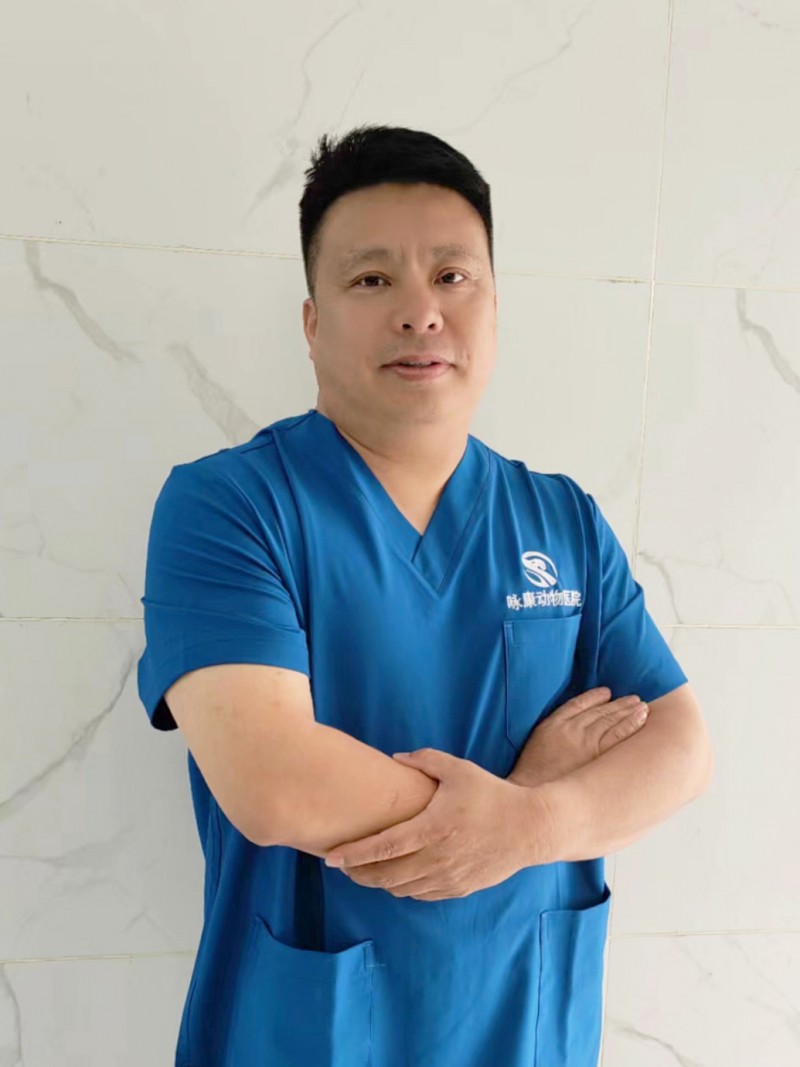 瑞派宠物医生 | 温柔铁肩守护生命传奇，承载梦想与坚持、宠爱与治愈的力量