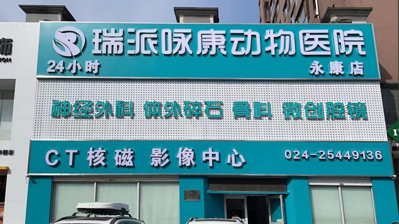 瑞派宠物医生 | 温柔铁肩守护生命传奇，承载梦想与坚持、宠爱与治愈的力量