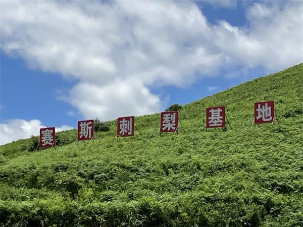 黔南瑰宝 助农共富丨刺礼香：深耕刺梨精加工，为国民健康护航