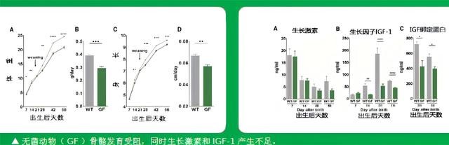赛哺高：科学助力儿童成长，成就未来高度