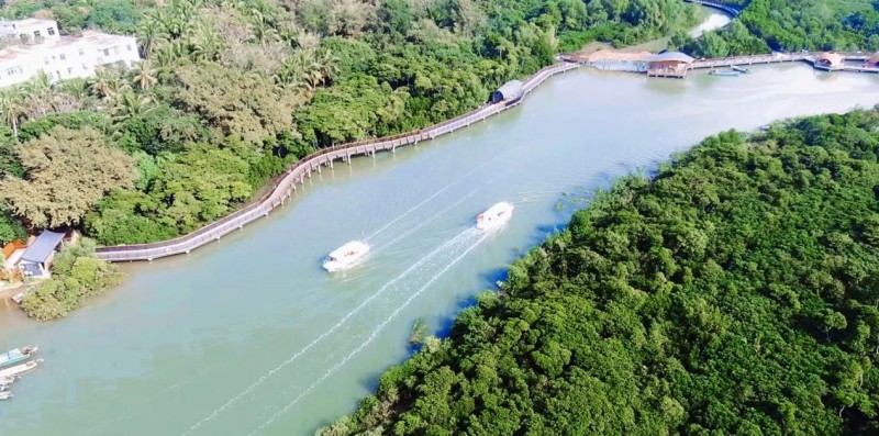 打造生态旅游全新体验,海南红树林景区邀您共赴“绿色之旅”!