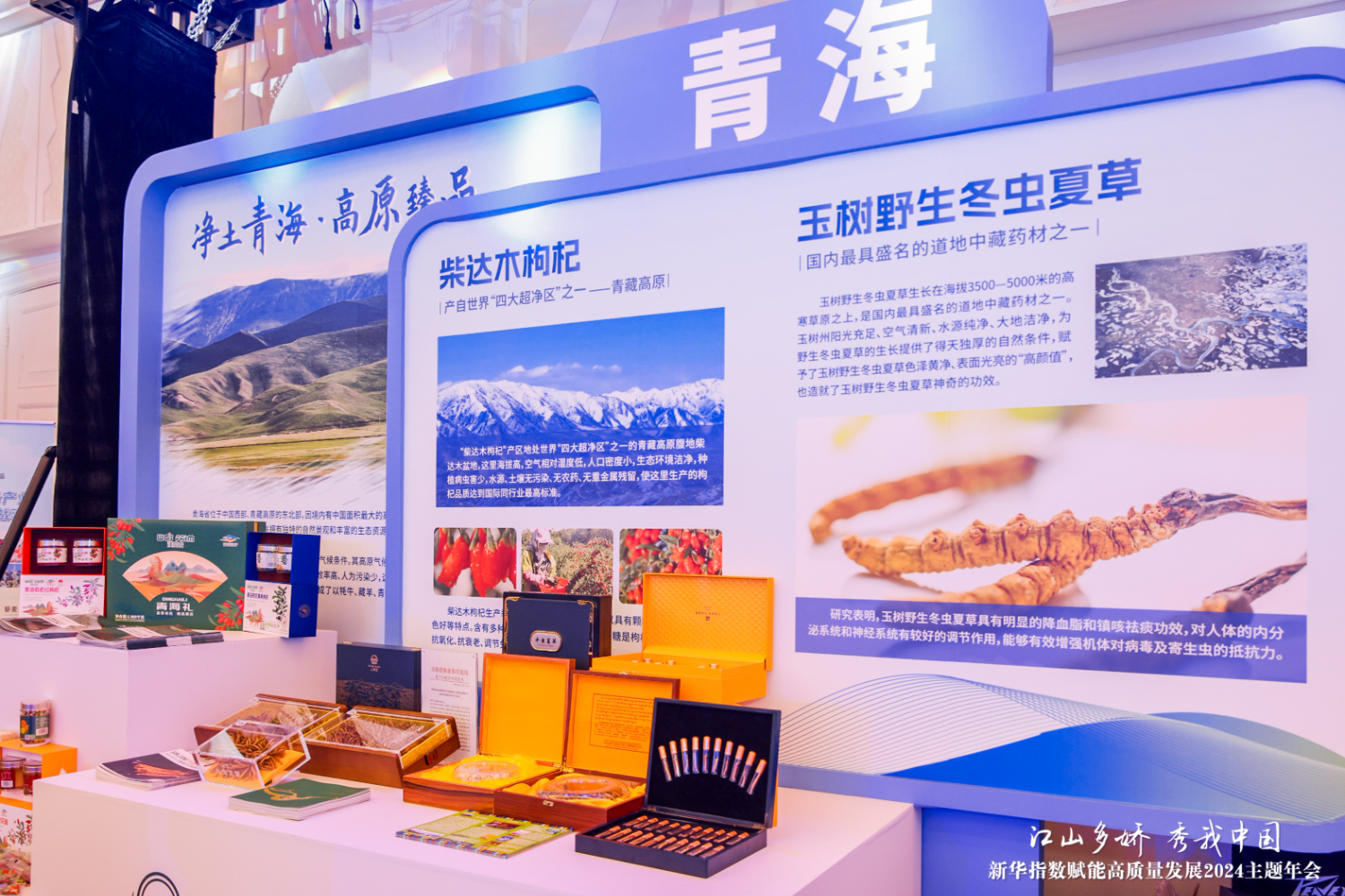 2024企业家博鳌论坛|数字化赋能 玉树野生冬虫夏草闪耀博鳌