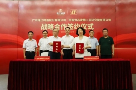 尚普咨询集团：头部领航 开启纯生啤酒市场潮流新篇章