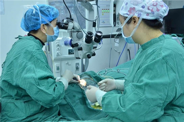 普瑞眼科铂晶白内障手术，助七旬园林景观师重返年轻态视力