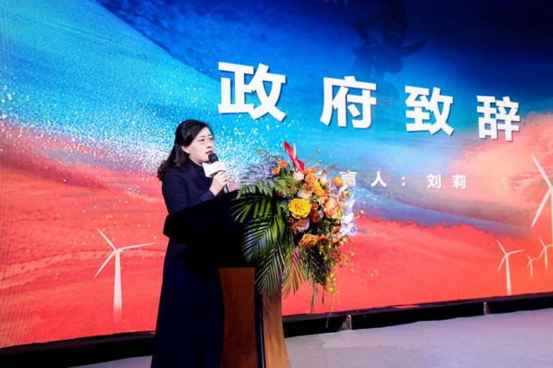 潮起,见未来——南通如东文峰荟大有境招商发布会圆满举办