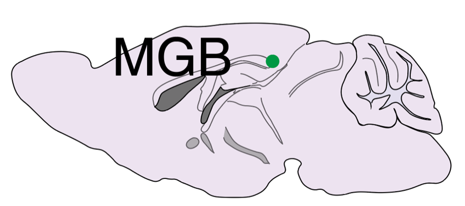 悦小辰5dB科学睡眠技术说明