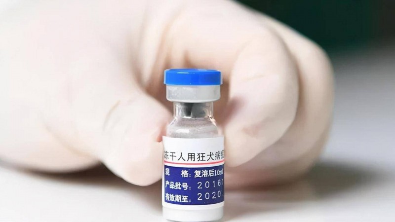 Vero细胞培养技术革新：揭秘狂犬病疫苗百年发展历程与未来趋势
