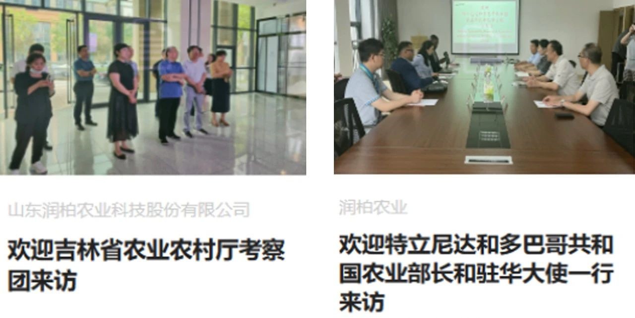 合作打造行业新典范——艾伽盾实业与山东润柏合作签约仪式圆满举行