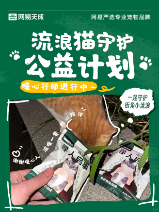 网易天成开启守护流浪生命公益活动 提供优质猫粮助力爱心流动