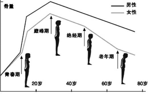 中老年补钙当心血管钙化，Jarrow Bone up——送长辈的放心钙