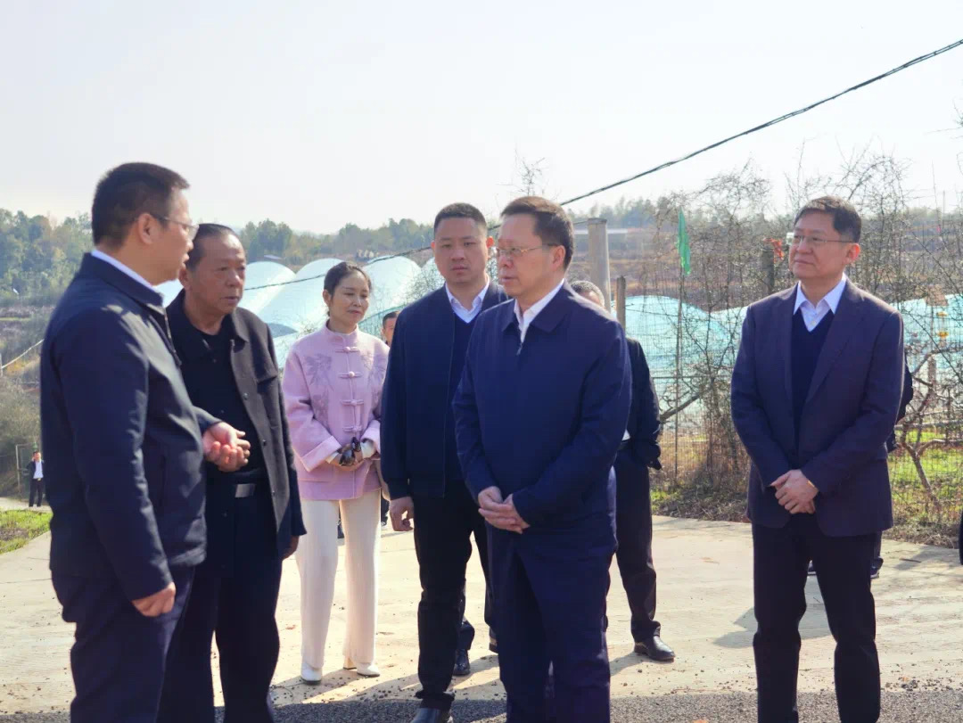 湘潭：李激扬赴韶山调研银田农文旅融合工作 打造全省乃至全国农文旅融合示范窗口