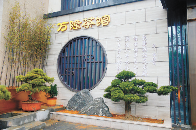 一片叶子送健康 安化茶香幸福来