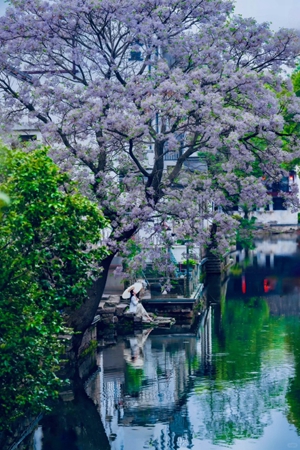 缤纷四季，绍兴春季胜景撰写春日经济华章