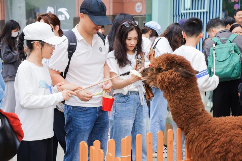 清明假期邂逅万只萌宠 正佳广场打造都市踏青新范式