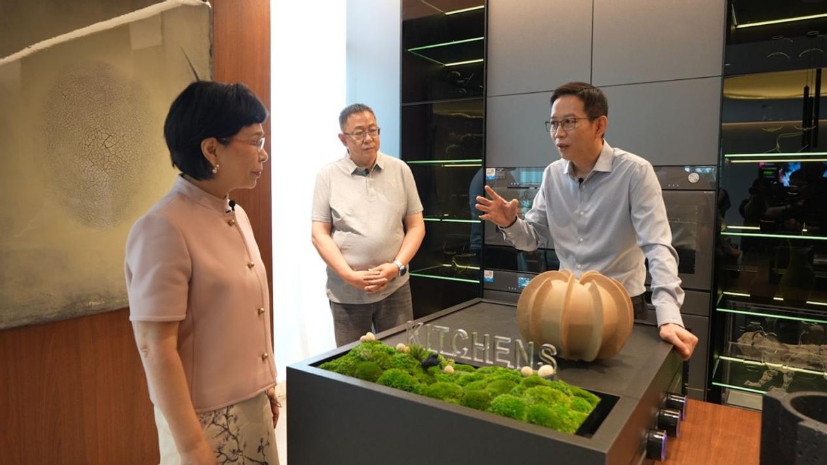 吴晓波探访三翼鸟：我们对“家”的定义失效了