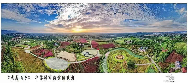 华蓥山锶海棠：一杯锶海棠，喝出健康新方式