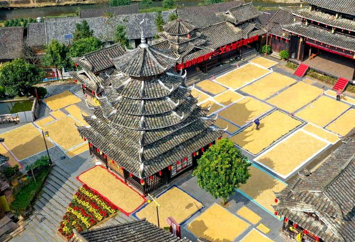 【“飞阅”中国】侗寨晒秋景色美