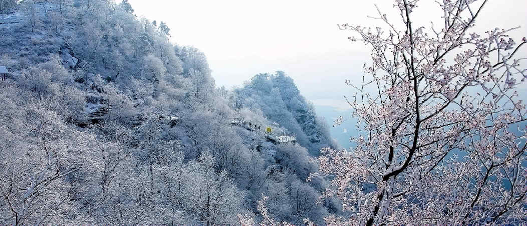 天蒙山初雪裹红豆，半是诗情半是冬