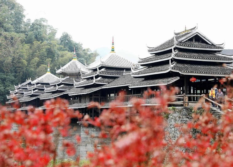 冬染侗乡“枫”景美