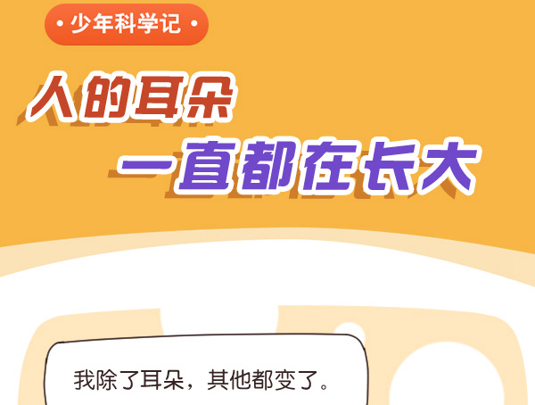 人的耳朵一直都在长大