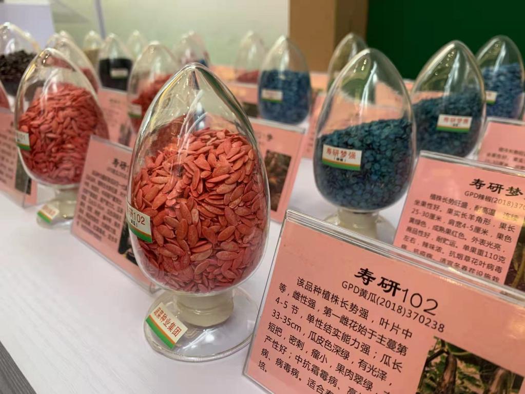 新春走基层丨菜乡寿光：强劲“中国芯” 助农喜丰收